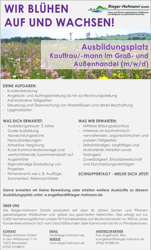 narzissen künstlich Kunstpflanzen | Künstliche Narzisse - Nina, 55 cm | Wie echt