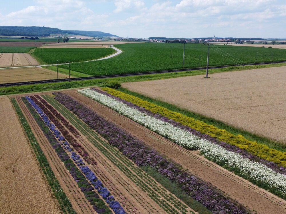 Anbaustart im fränkischen Hügelland (UG 12)