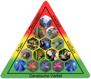 Schaubild biologische Vielfalt