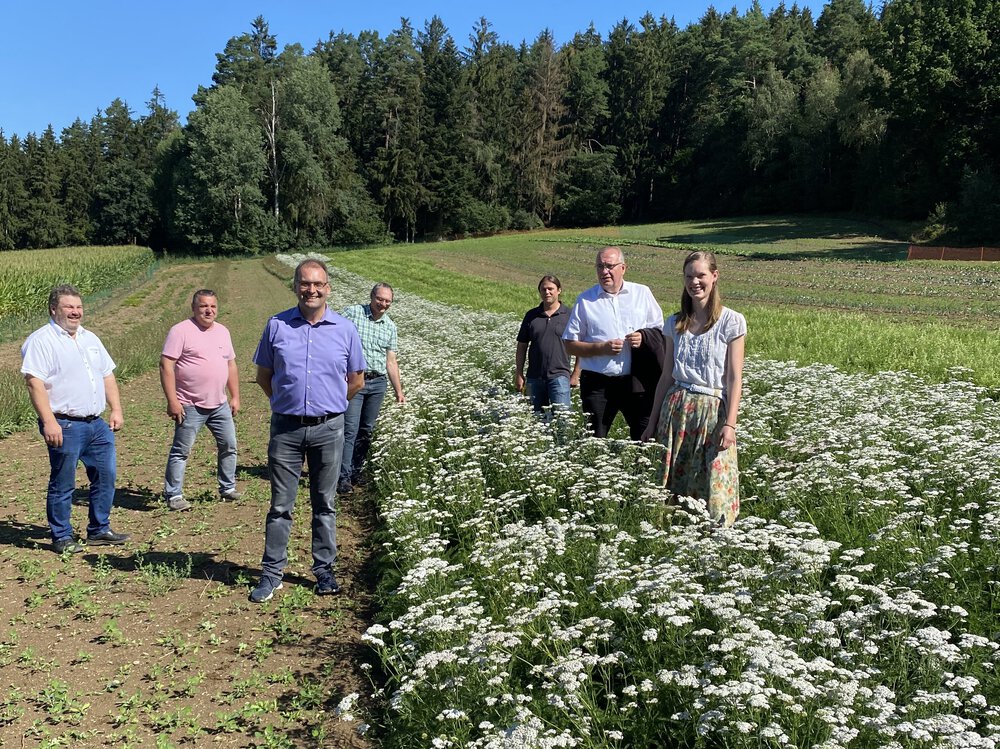 Wildartenvermehrung in Cham (UG 19)