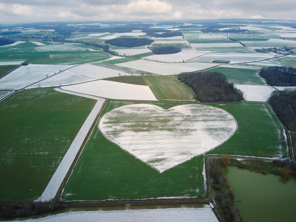 Anfang / Mitte Februar 2023: Winter und Frühjahr im Wettstreit miteinander.