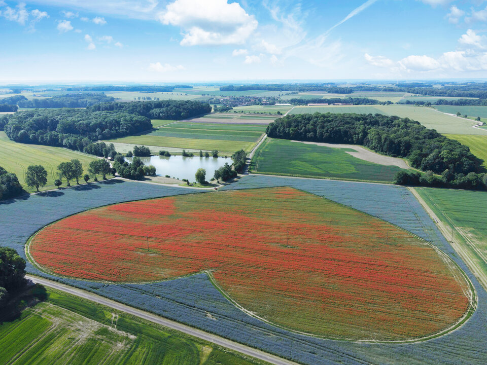 Überflug mit Blickrichtung Raboldshausen.