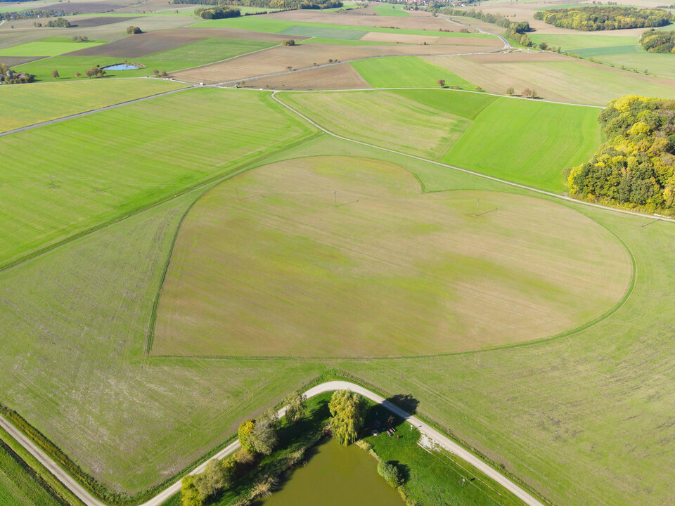 Im Oktober 2022 nach der Samenernte: Ein nasser, milder Herbst sorgt für spätes, zartes Grün. - Foto / Copyright: Rolf Grübel